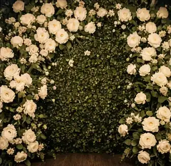 Ambiance photobooth premium